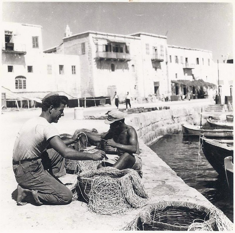 Особенности рыбалки на Кипре. С картинками и кратким экскурсом в экономику.: фото 8