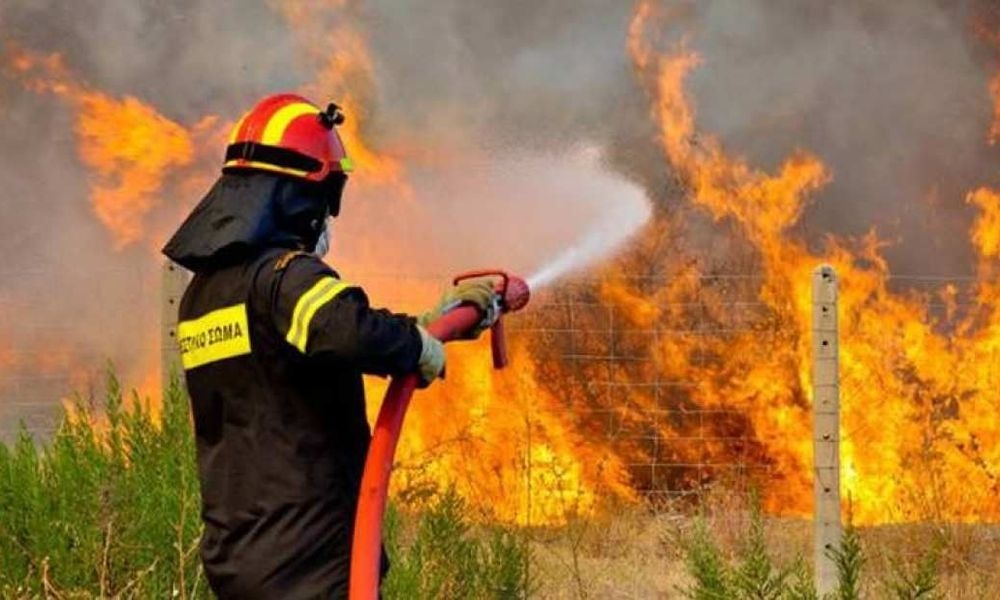 Пожарная служба Кипра объявила войну курильщикам!: фото 2
