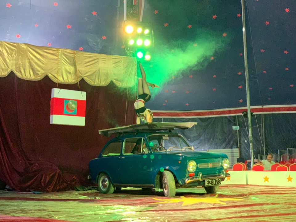 Цирковое шоу в Лимассоле, которое нельзя пропустить!: фото 12