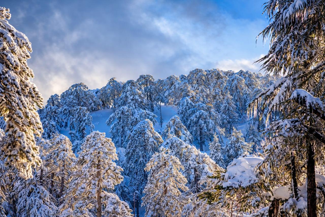 снег в троодосе