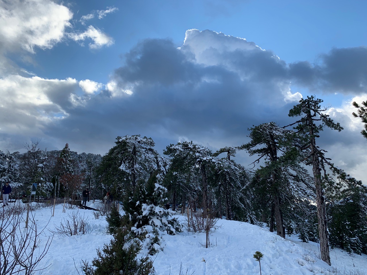 Прекрасный зимний пейзаж в горах Троодос: фото 11