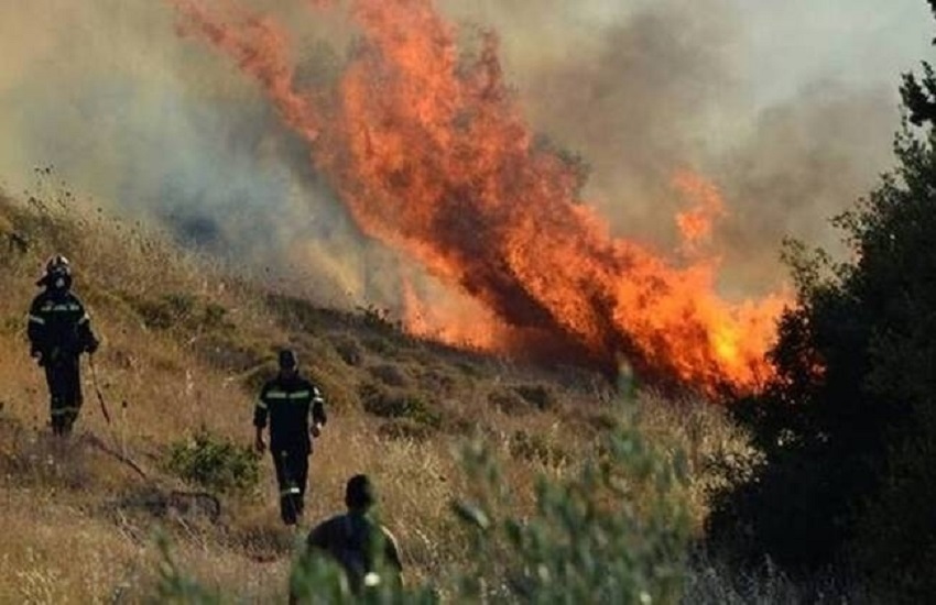 На пожар в лесу под Пафосом мобилизовали пожарных монастыря Киккос: фото 3