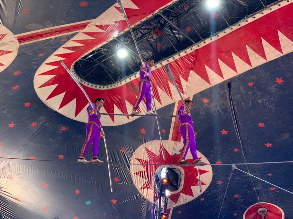 Цирковое шоу в Лимассоле, которое нельзя пропустить!: фото 2