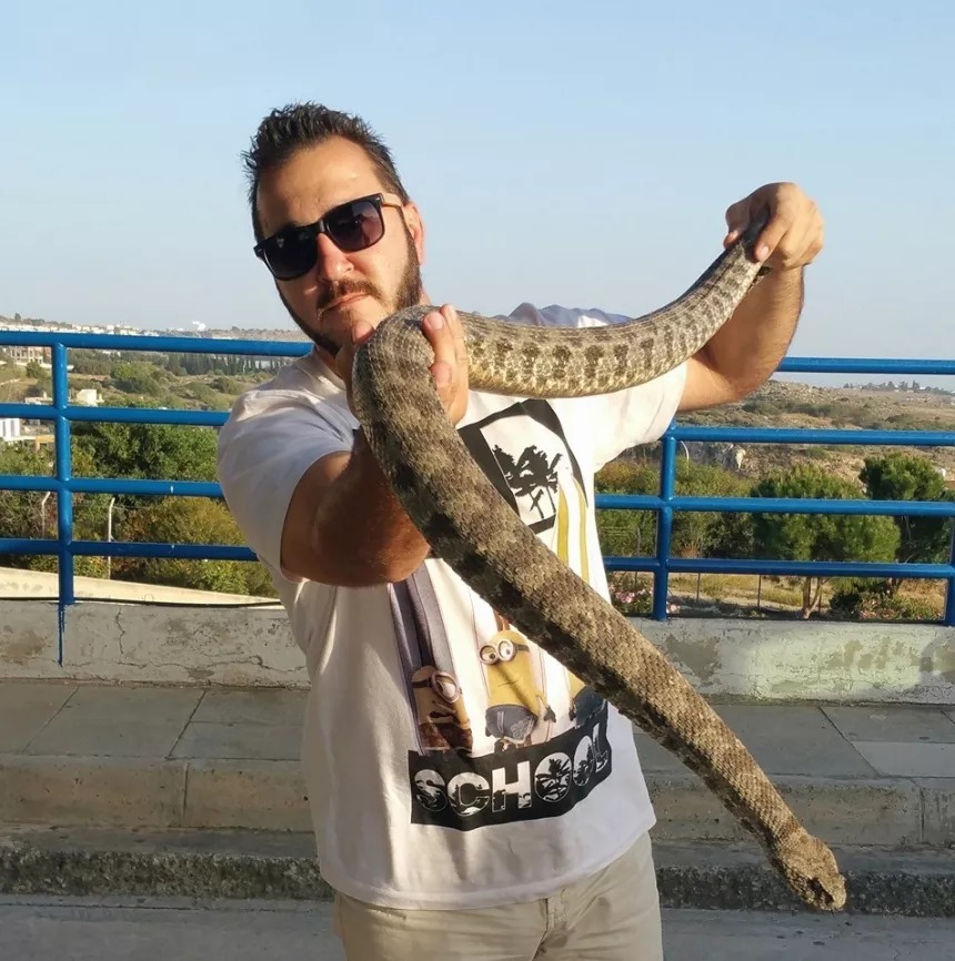 Самая опасная на Кипре ядовитая змея Гюрза