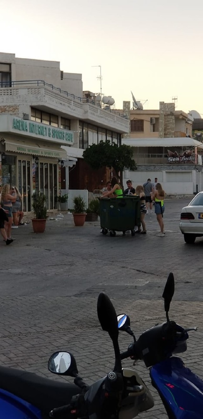 У отдыхающих на Кипре новая забава под названием "Сломай дерево!": фото 7
