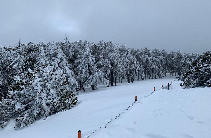 В сеть попали редкие фотографии заснеженных гор Троодоса (зимний блог с ретро-фото): фото 6