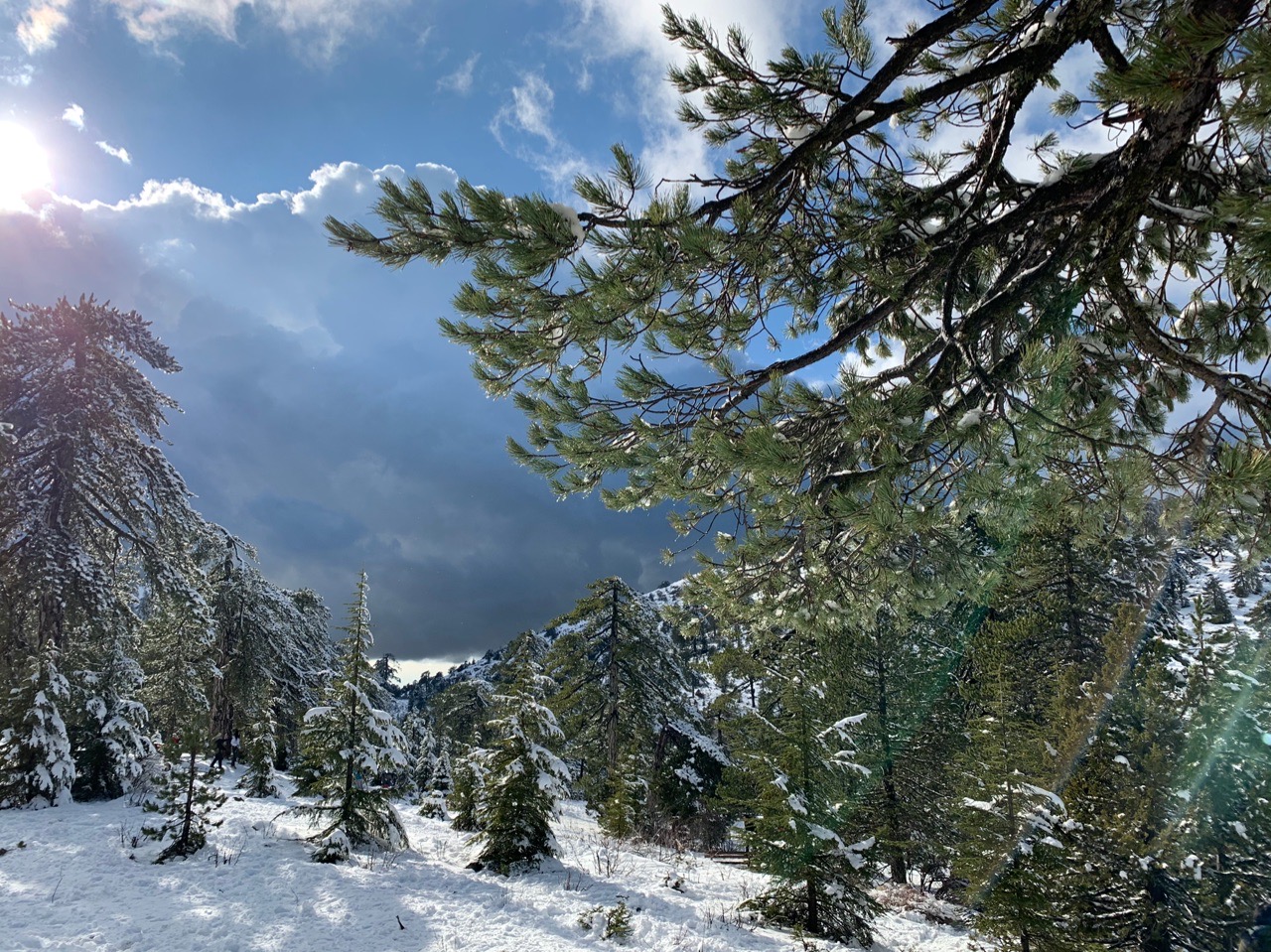 Прекрасный зимний пейзаж в горах Троодос: фото 15