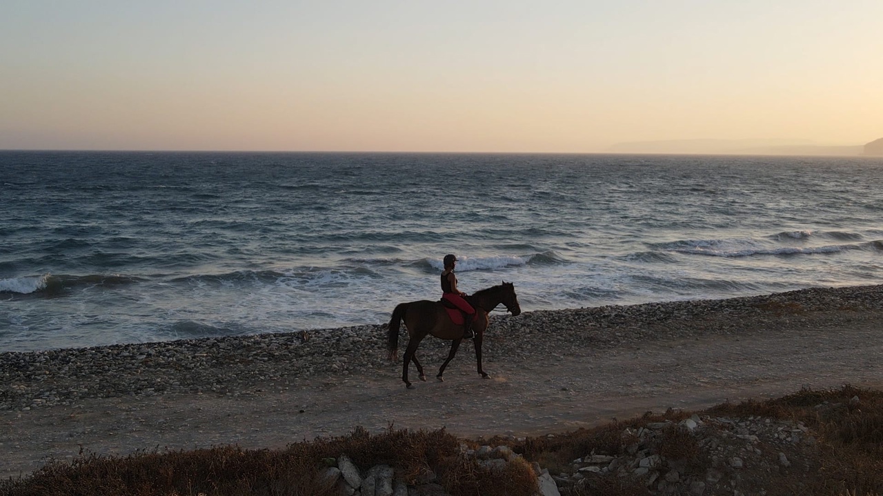Берем бразды правления: прыжок в мир конного спорта Кипра: фото 11