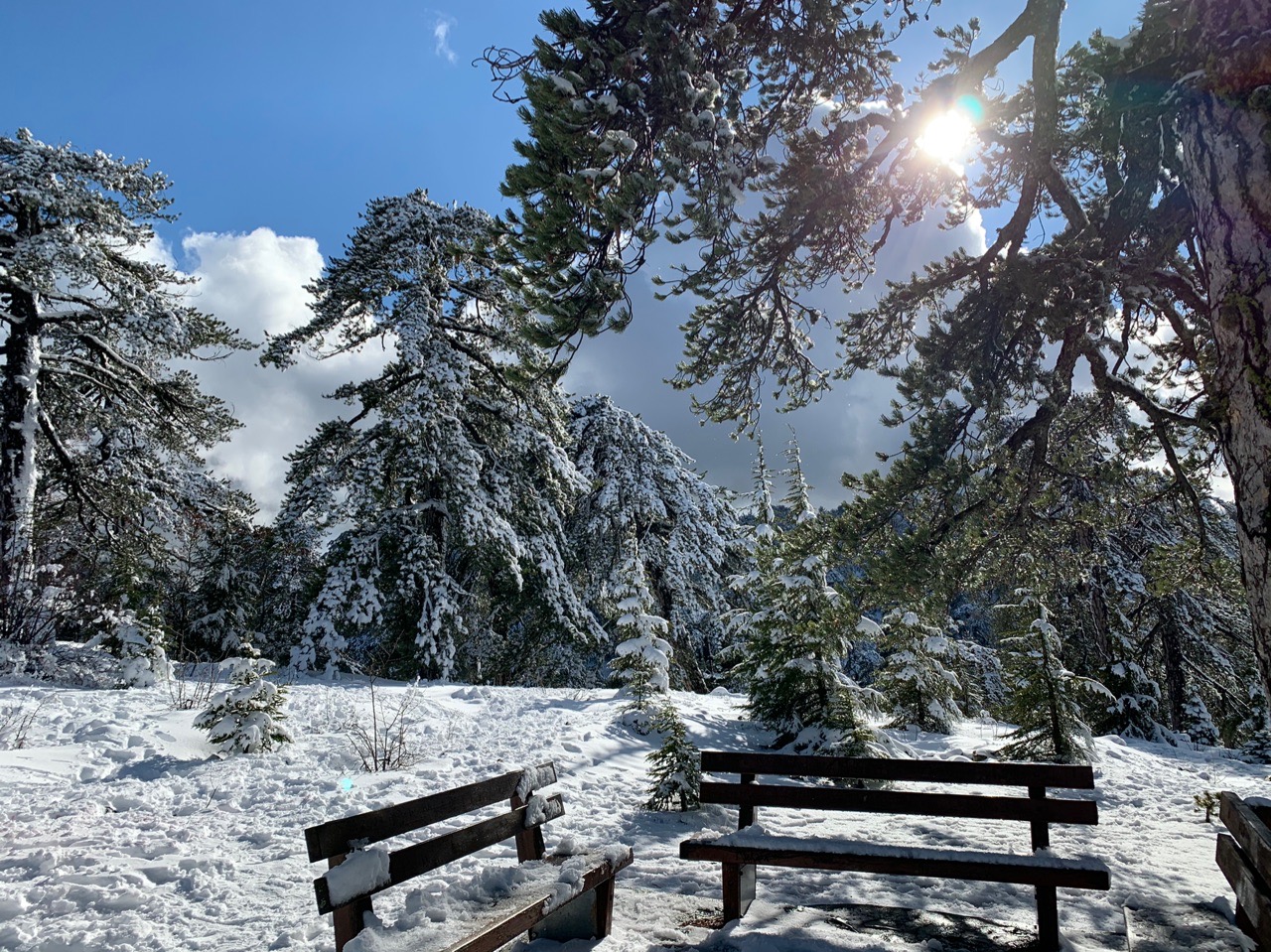 Прекрасный зимний пейзаж в горах Троодос: фото 7