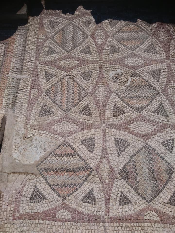  На полуострове Карпас  восстановили мозаики древней базилики Святой Троицы : фото 5