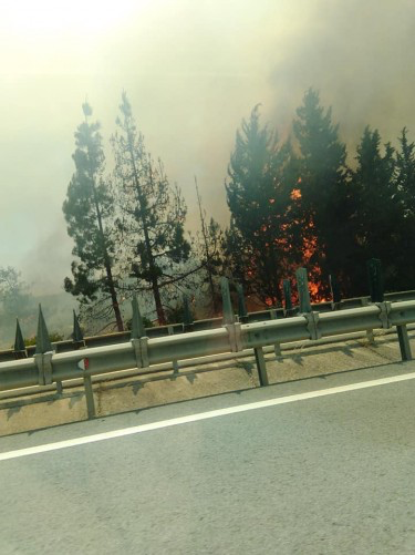 На трассе Никосия — Лимассол произошел крупный пожар: фото 2