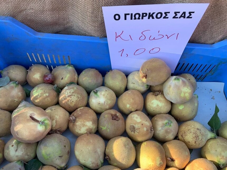 На Кипре начался сезон самого душистого фрукта — айвы: фото 3