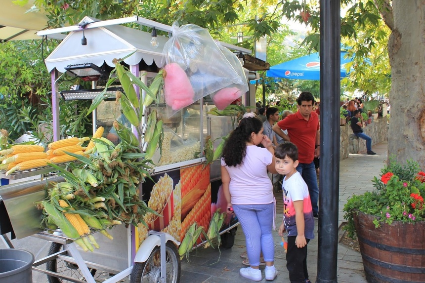Рай для сладкоежек: в Какопетрии прошел ежегодный Фестиваль Варенья: фото 6