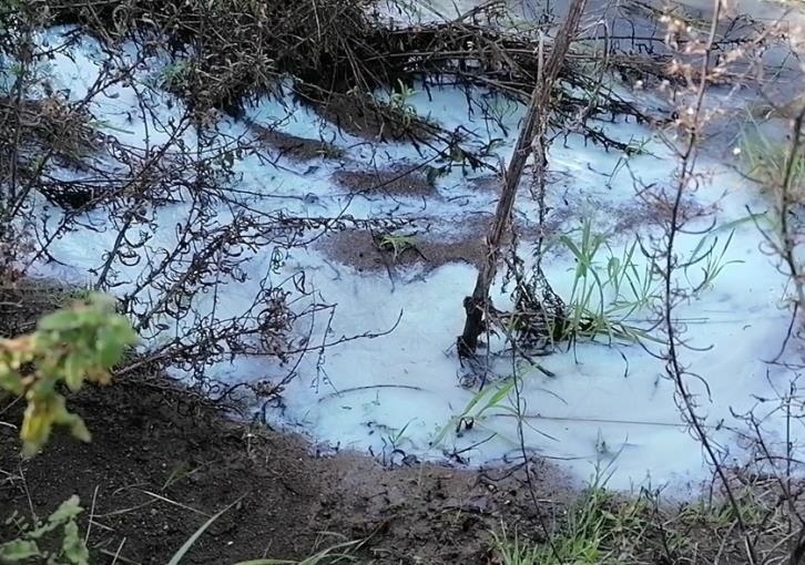 В питьевую воду киприотов попало нечто флуоресцентное и ядовитое: фото 4