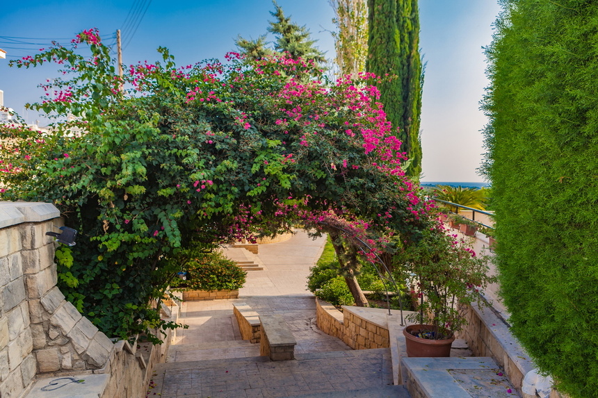 Като Вриси - легендарное место на Кипре, где находились Священные сады богини Афродиты: фото 5