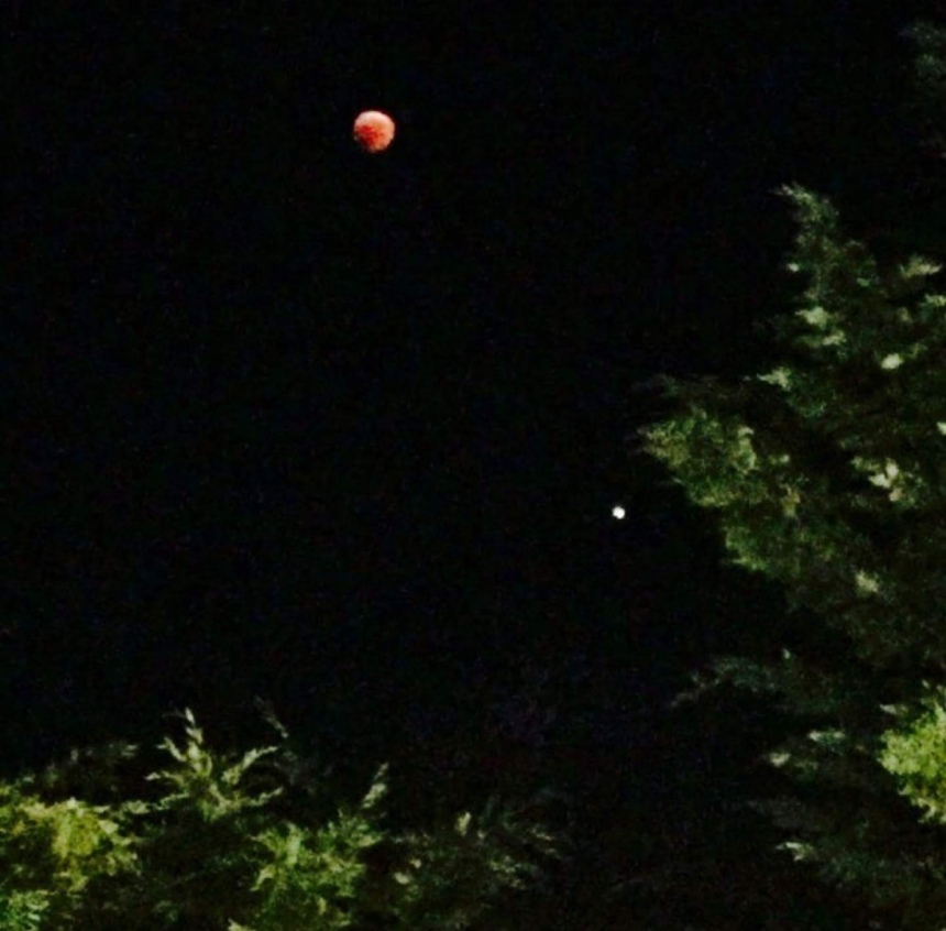 Рекордное лунное затмение на Кипре (фото + видео): фото 6