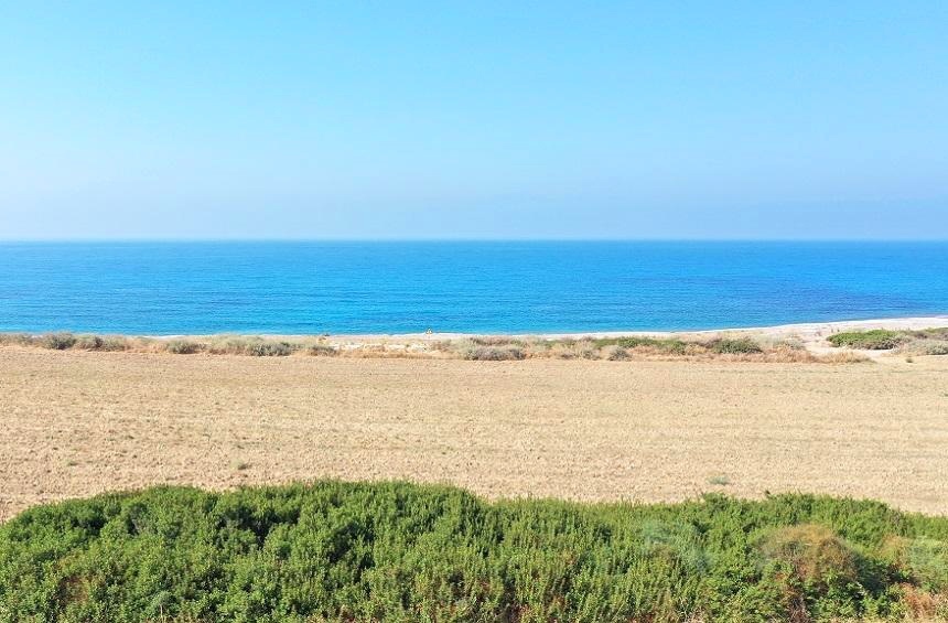 Пляж Авдиму - немноголюдный и уникальный пляж на морском побережье Кипра! : фото 4