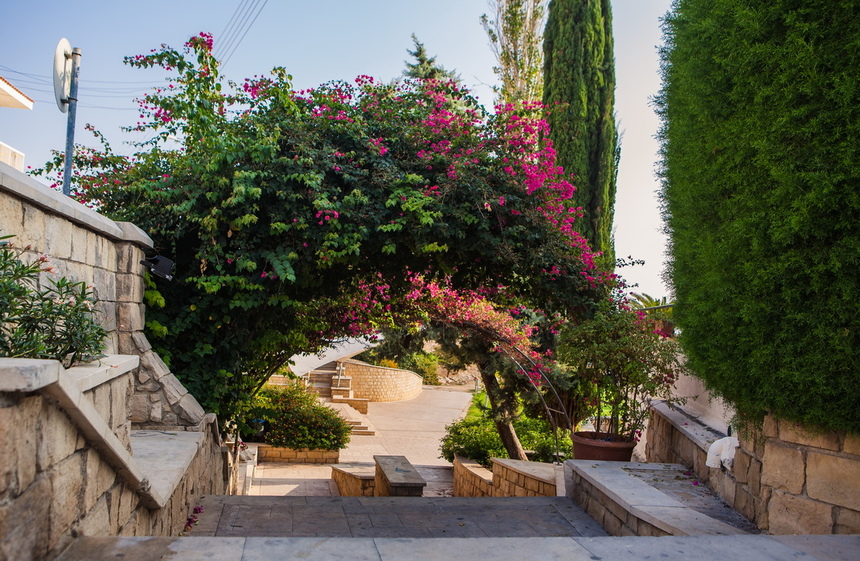Като Вриси - легендарное место на Кипре, где находились Священные сады богини Афродиты: фото 3