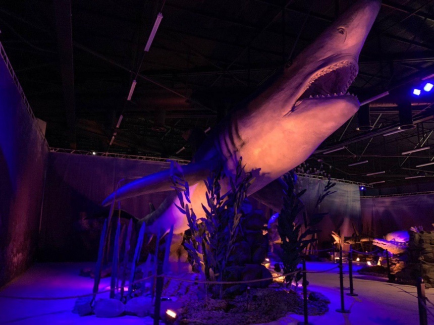 «Динозавры океана» добрались в Никосию! А вы уже их видели?: фото 6
