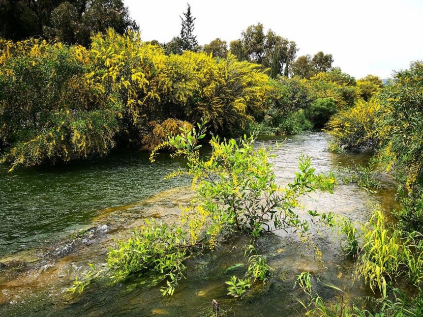 Реки на Кипре