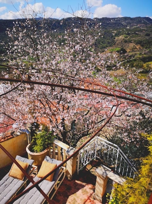 Топ-5 отелей Кипра с настоящей атмосферой весны: фото 17