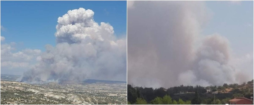Леса вокруг Лимассола объяты пламенем (фото, видео): фото 2