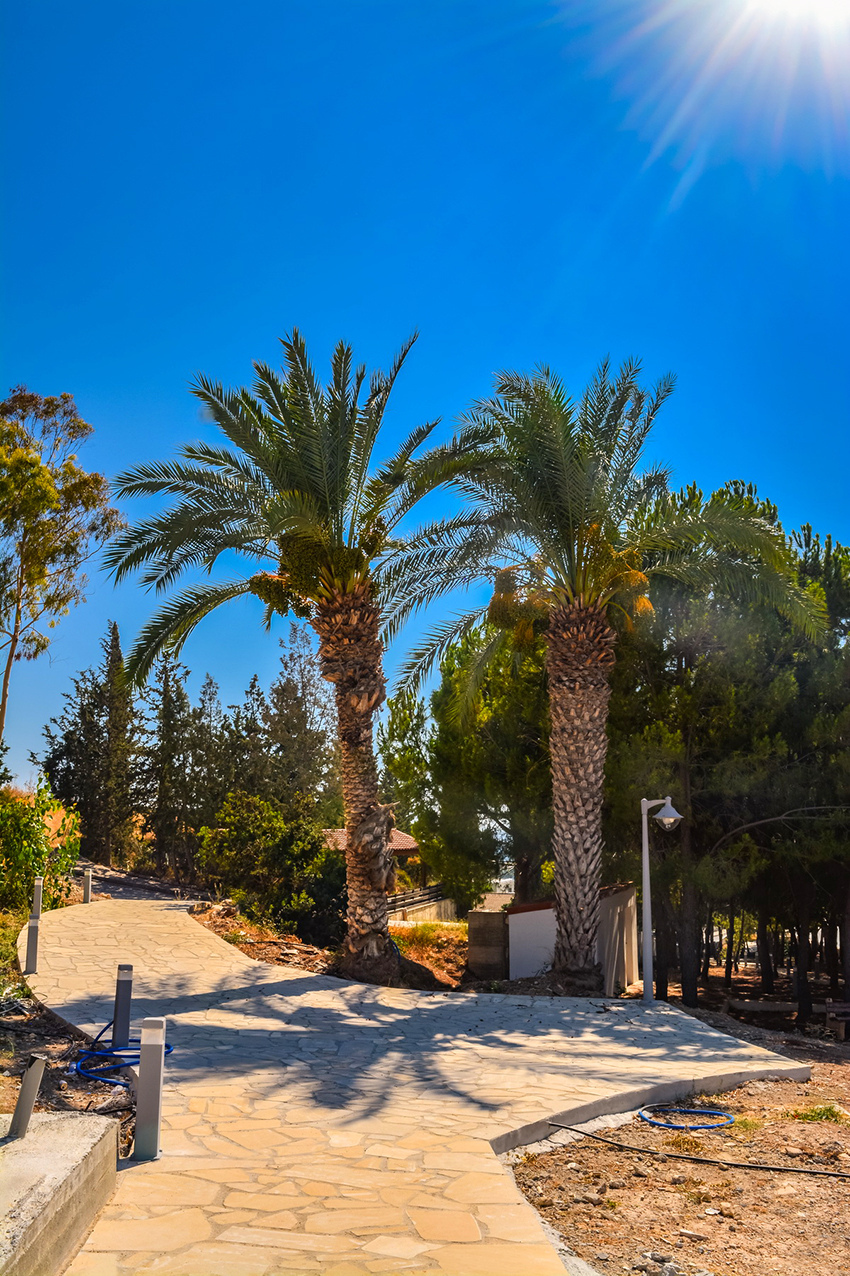 Отдых в тени кипрской сосны: парк с красочной детской площадкой в деревне Куклия на Кипре: фото 27