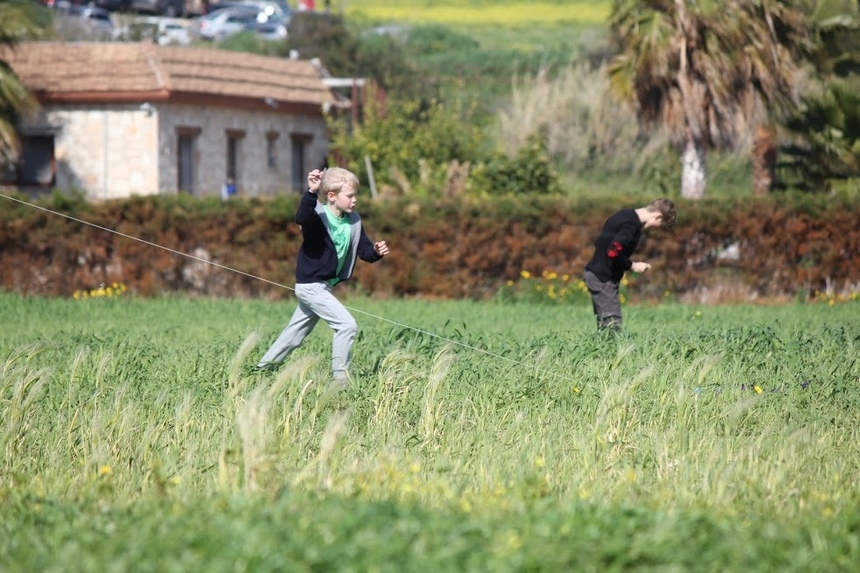 Как прошел Green Monday на Кипре: фото 41