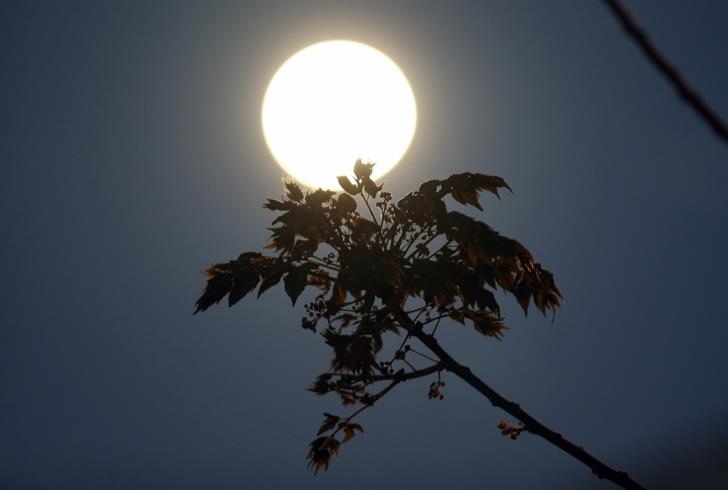 Ночью жители Кипра наблюдали Розовую Луну: фото 9