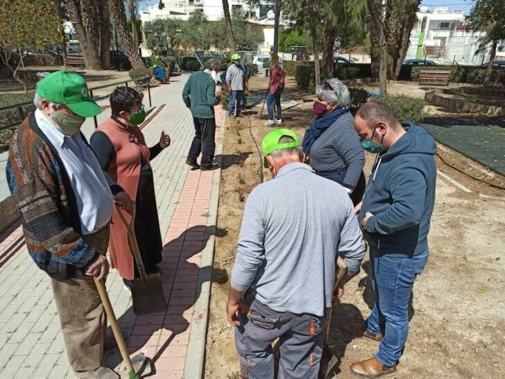 Экологи высадили на Кипре более 19 500 деревьев: фото 4