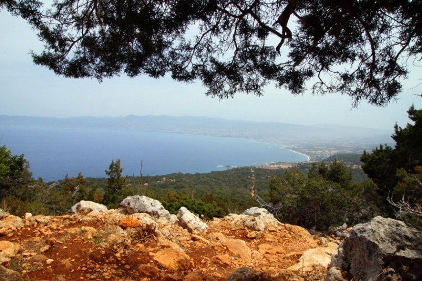 Прогулки на Кипре, часть 1: тропы Акамаса: фото 7