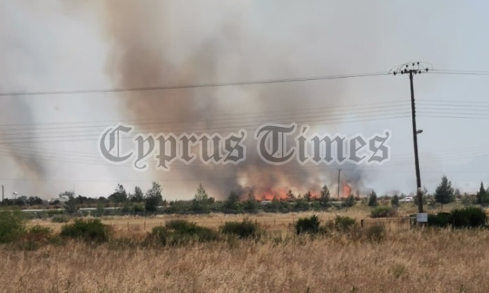 Полиция Кипра задержала поджигателя участка рядом с центром беженцев: фото 2