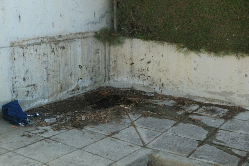 В Никосии вандалы уничтожили кормушки и домики для бездомных кошек: фото 3