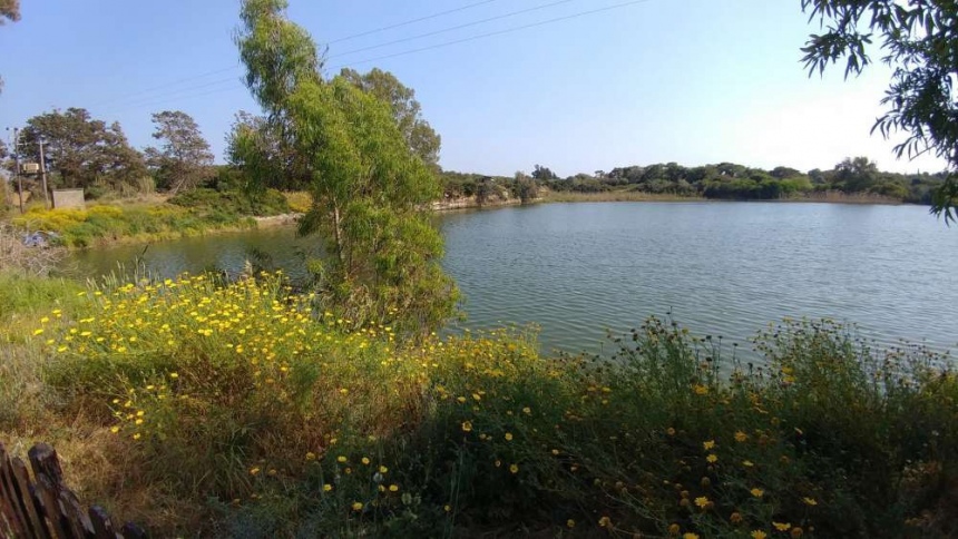 Озеро Деспотики в Лимассоле: фото 3