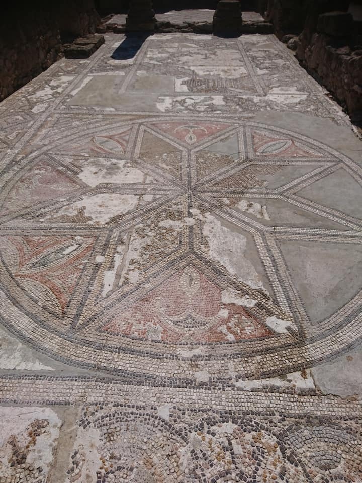  На полуострове Карпас  восстановили мозаики древней базилики Святой Троицы : фото 7