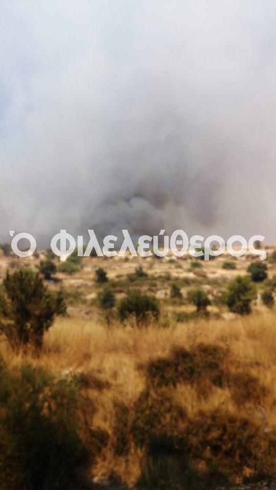 В ликвидации сильнейшего пожара недалеко от Лимассола задействован весь Кипр (Обновлено): фото 4