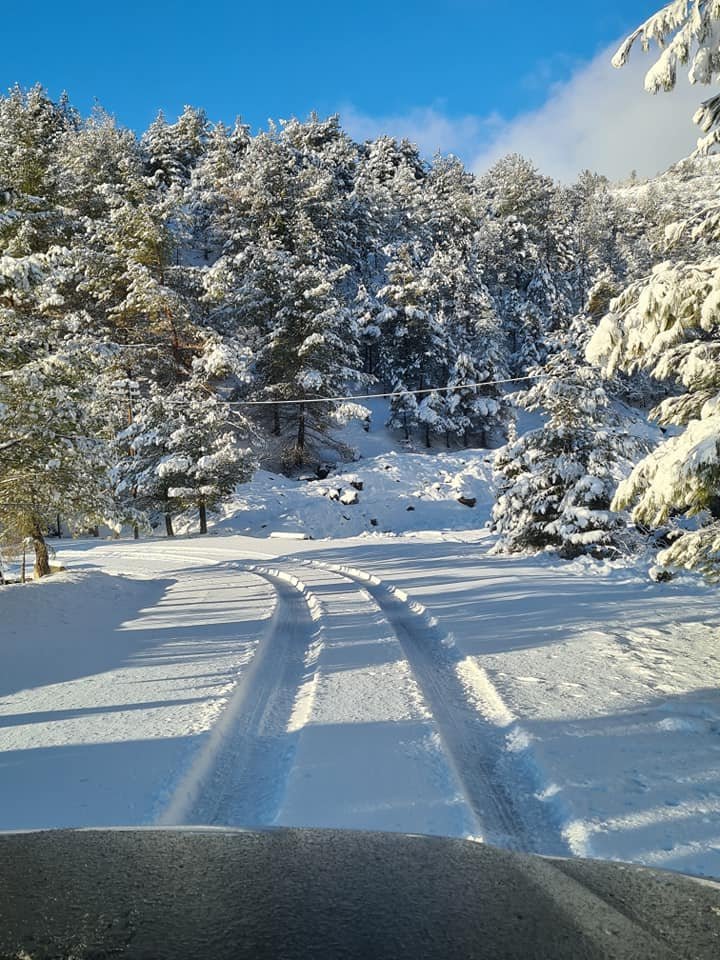 Дороги к Троодосу заблокировали из-за безумного снегопада: фото 4