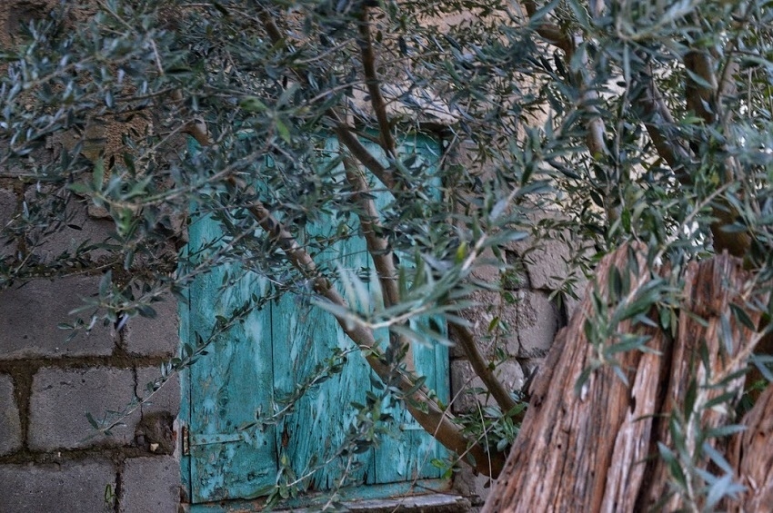 Путешествие по традиционным деревушкам Кипра. Эпископи. Часть 1: фото 60