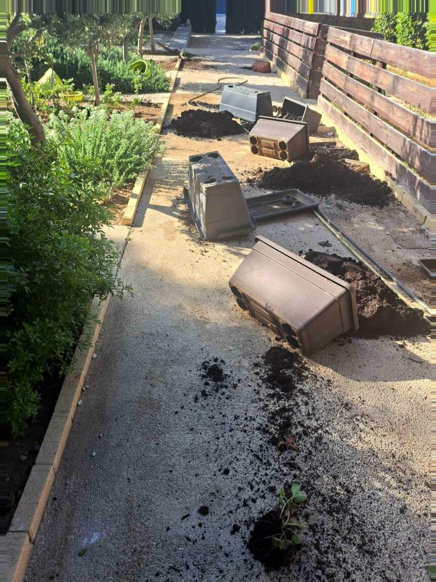 В Лимассоле вандалы уничтожили сад женщины!: фото 3 В Лимассоле вандалы уничтожили сад женщины!: фото 3