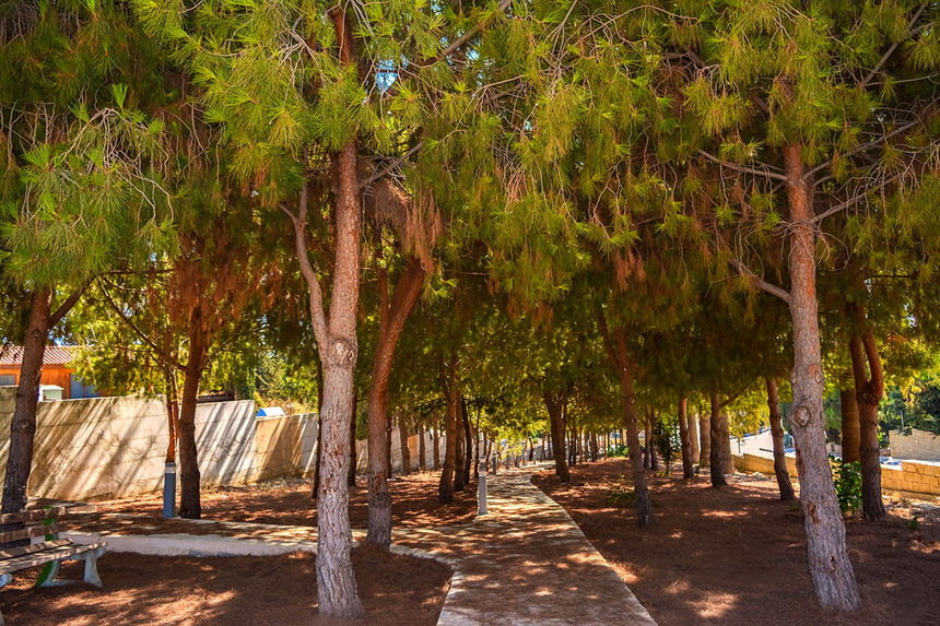 Отдых в тени кипрской сосны: парк с красочной детской площадкой в деревне Куклия на Кипре: фото 36