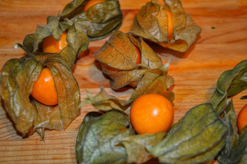 Лучшие рецепты здоровой кухни Кипра. Вкус, способный покорить миллионы гурманов, — салат с семгой, физалисом и сладким апельсином. Простой и быстрый в приготовлении: фото 21