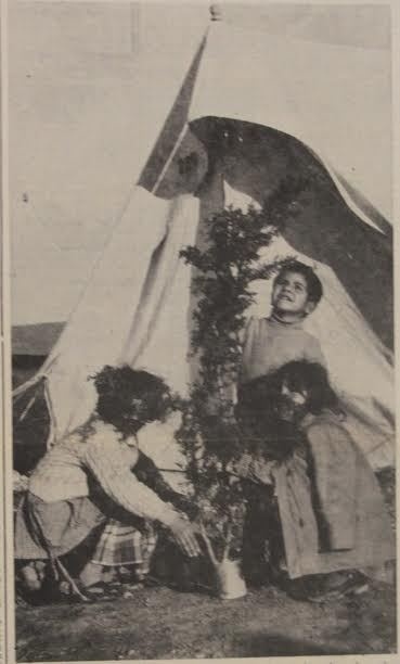 «Кровавый праздник»: как отмечали Рождество на Кипре в 1974 году: фото 6