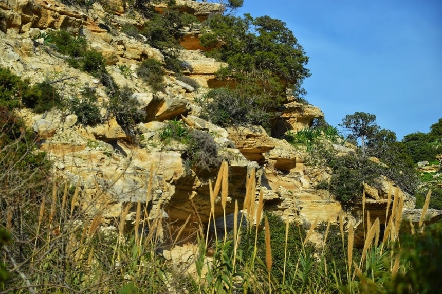 Ущелье Авакас на Кипре (Avakas Gorge. Cyprus): фото 26