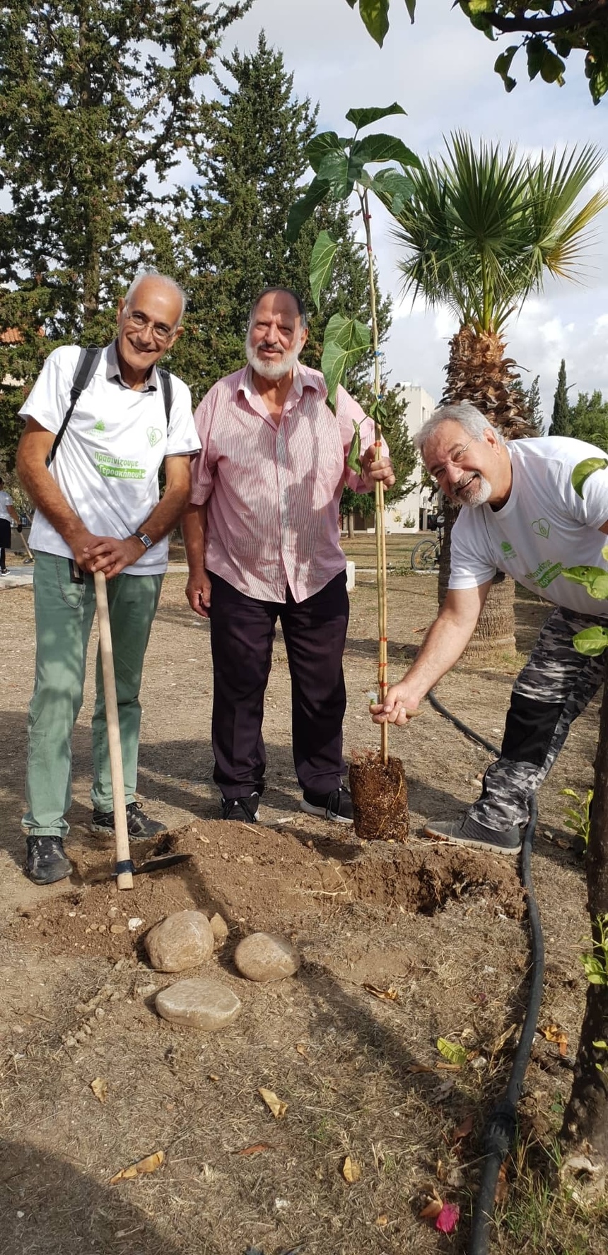 Жители Пафоса высадили 650 деревьев: фото 4