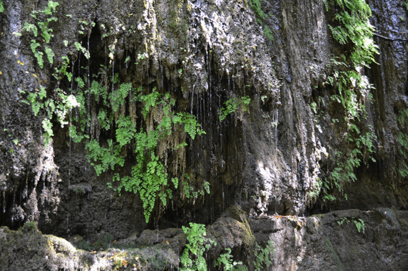 Пещеры со сталактитами на берегах реки Диаризос на Кипре (Фото и видео): фото 7
