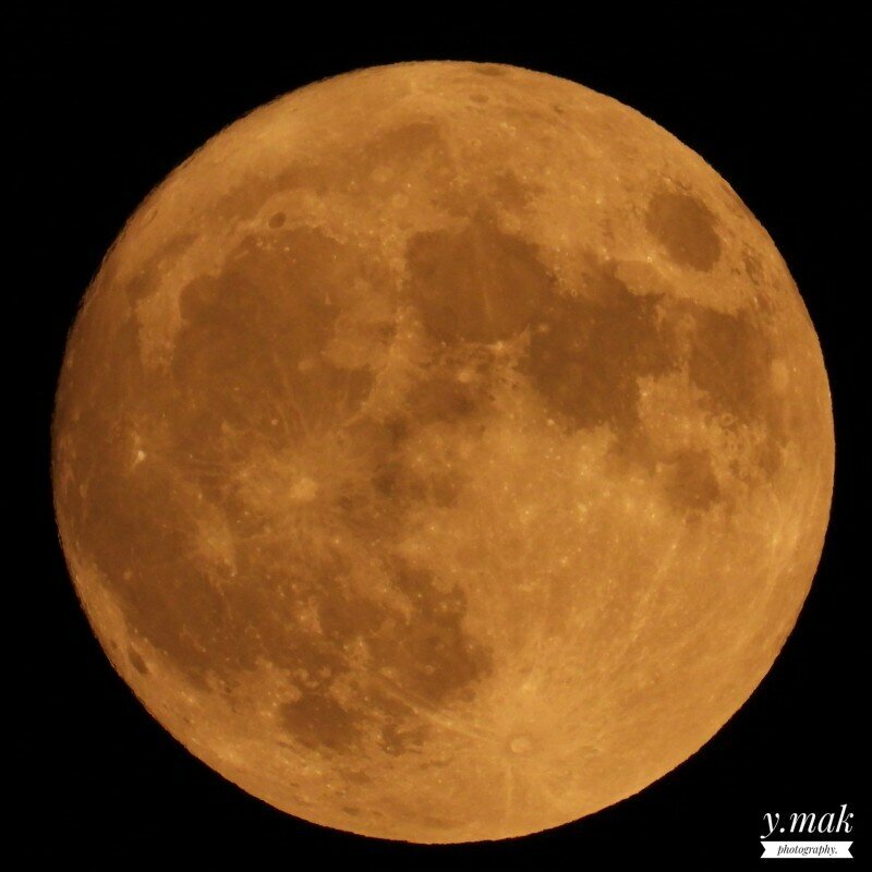 Редкая «голубая луна» осветила небо Кипра: фото 2