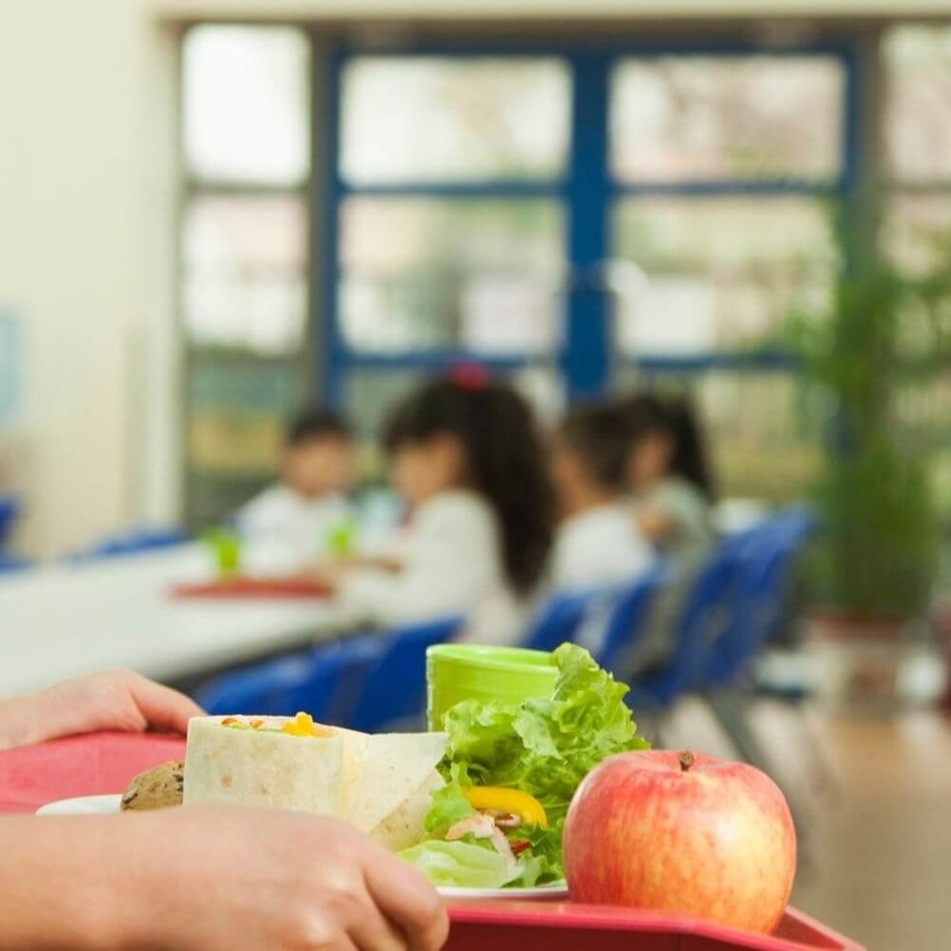 Дорого и сердито: в государственных школах Кипра продолжают кормить запрещенкой и завышать цены: фото 3