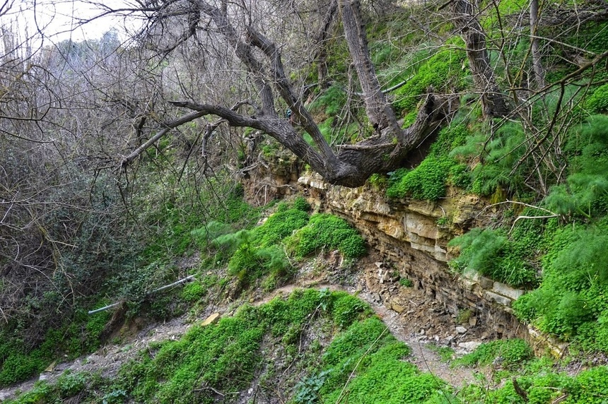 Путешествие по традиционным деревушкам Кипра. Хулу и секретный водопад. Часть 3: фото 79