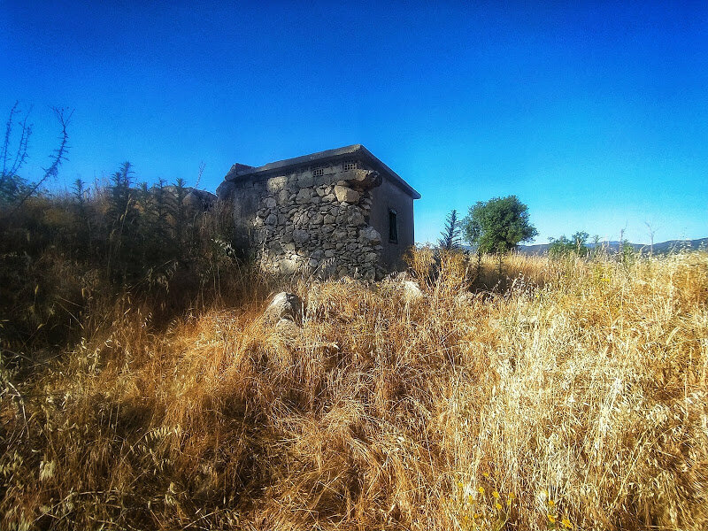 Одинокий старый дом стоящий в желтой траве