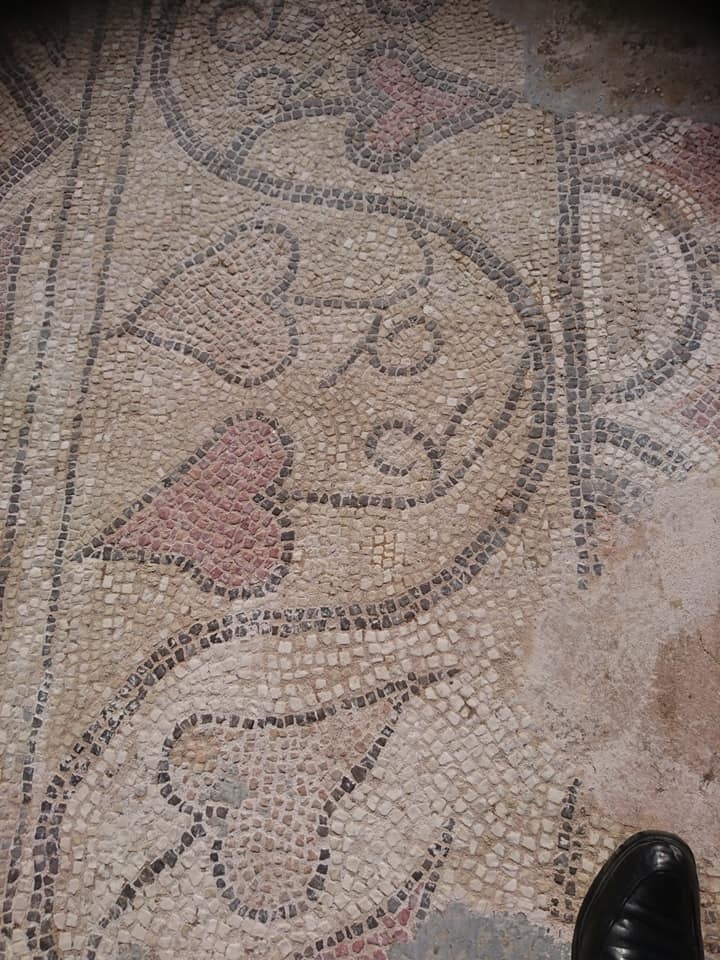  На полуострове Карпас  восстановили мозаики древней базилики Святой Троицы : фото 4